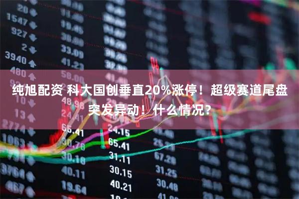 纯旭配资 科大国创垂直20%涨停！超级赛道尾盘突发异动！什么情况？